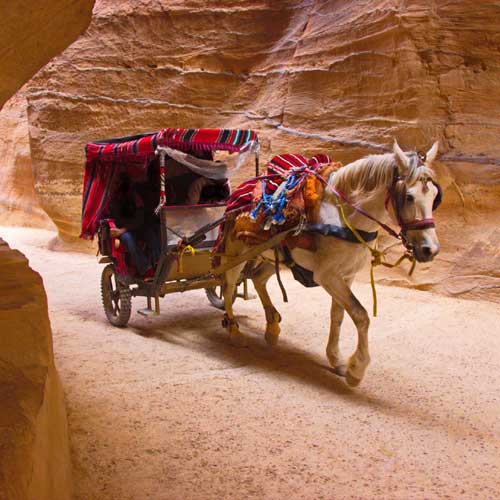 Cavalcata gratuita a Petra