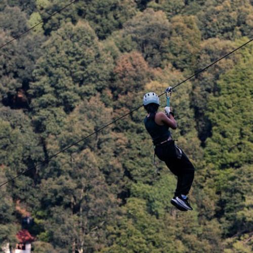 Ajloun Forest Reserve Zip Line