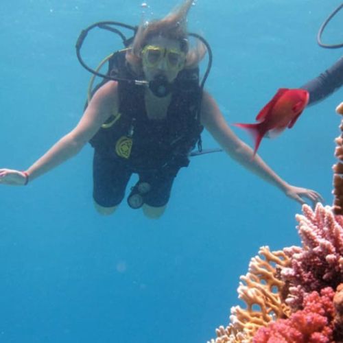 iving in the Red Sea