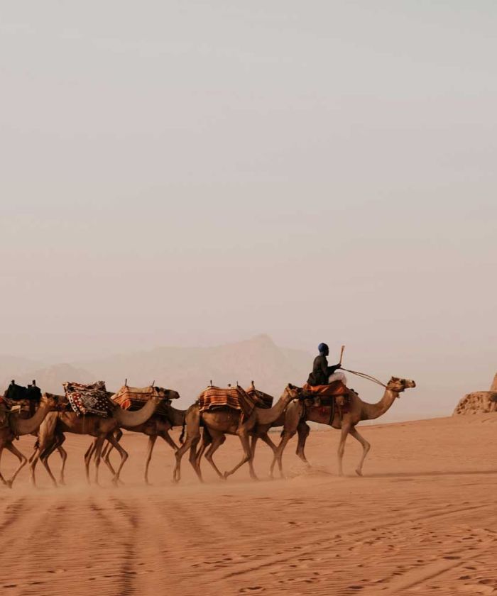 Wadi rum desert